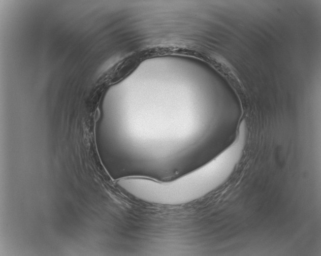 X0000056371064200509232152
