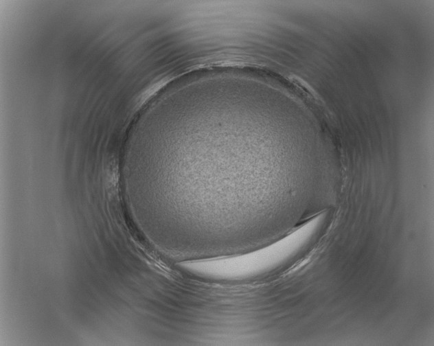 X0000056371065200509232152