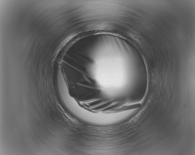 X0000056371066200509232152