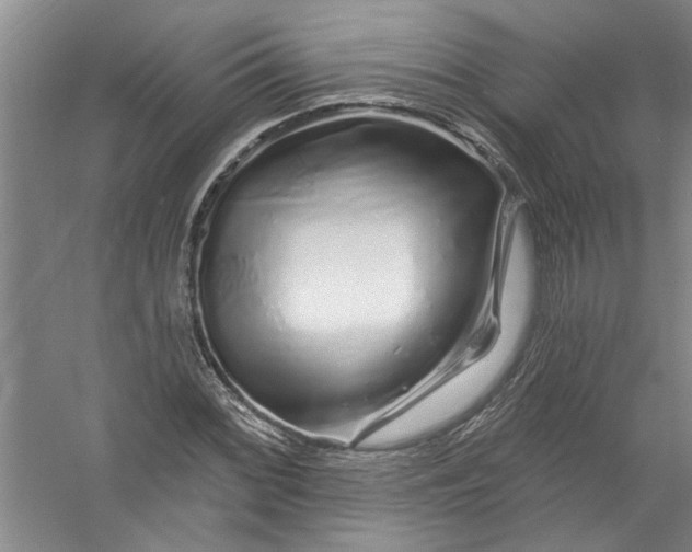 X0000056371068200509232152