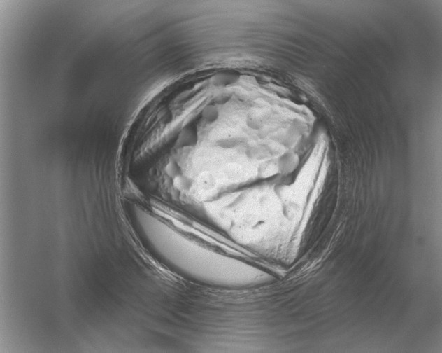 X0000056371071200509232152