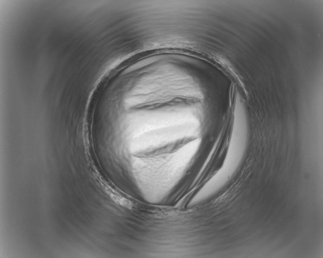 X0000056371072200509232152