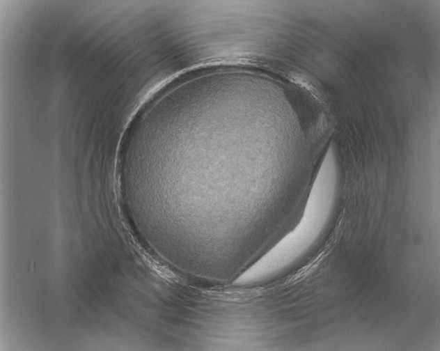 X0000056371077200509232152