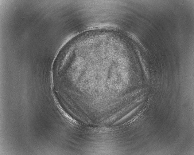 X0000056371079200509232152