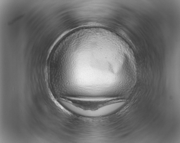 X0000056371092200509232152