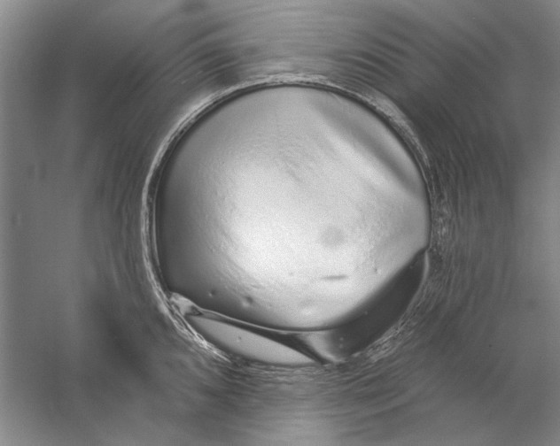 X0000056371096200509232152