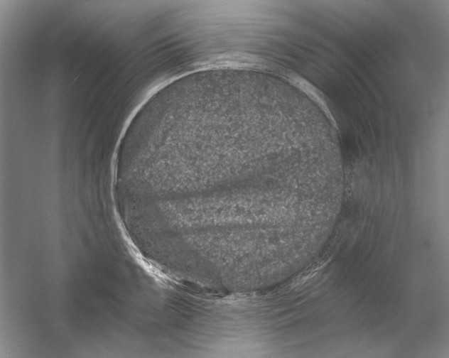 X0000056371099200509232152