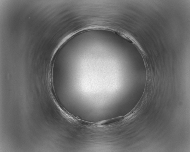 X0000056371101200509232152