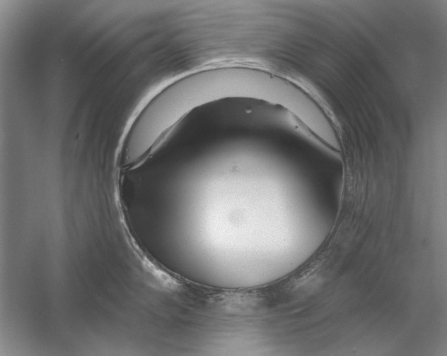 X0000056371102200509232152
