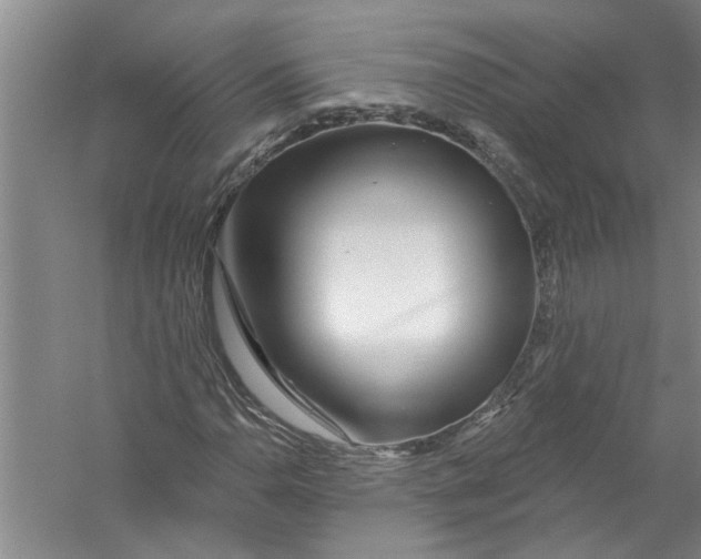 X0000056371110200509232151