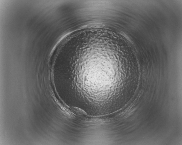 X0000056371115200509232151