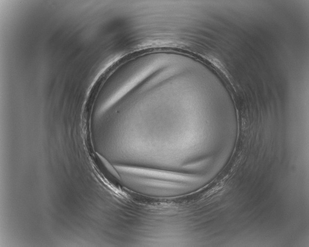 X0000056371119200509232151