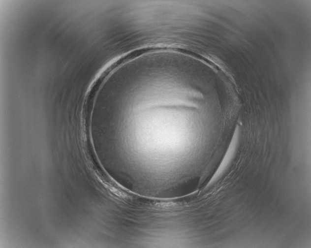 X0000056371120200509232151