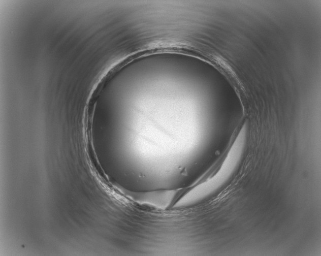 X0000056371124200509232151