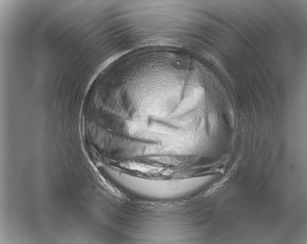 X0000056371125200509232151
