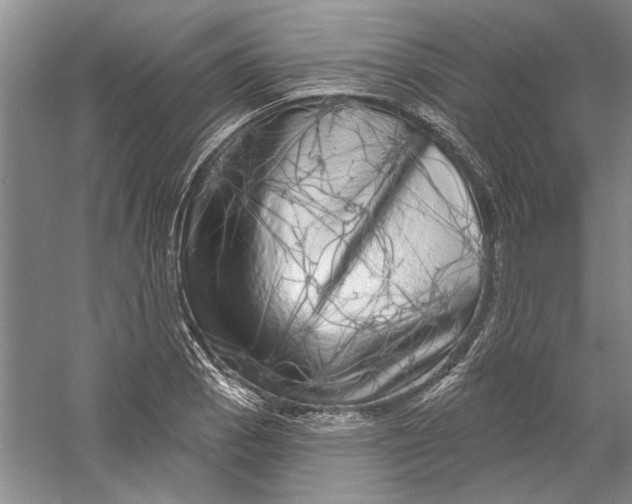 X0000056371129200509232151