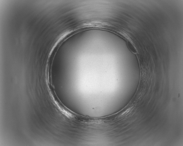 X0000056371131200509232151