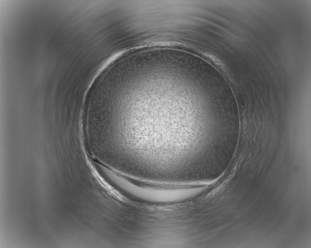 X0000056371134200509232151