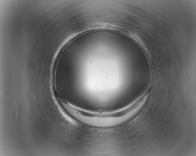 X0000056371136200509232151