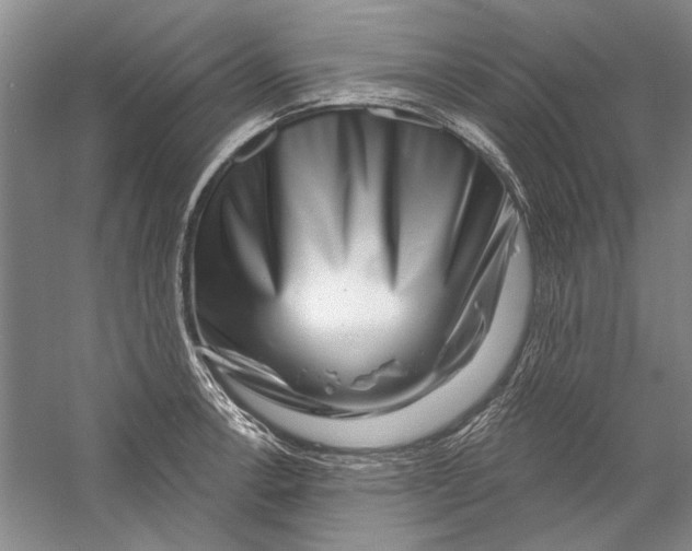 X0000056371138200509232151