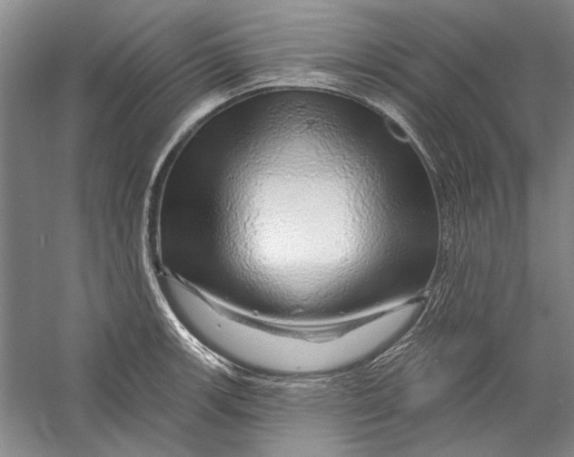 X0000056371139200509232151