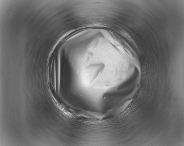 X0000056371140200509232151