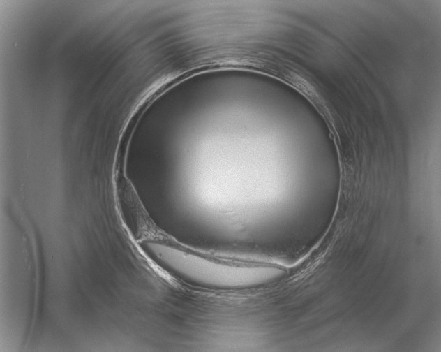 X0000056371141200509232151