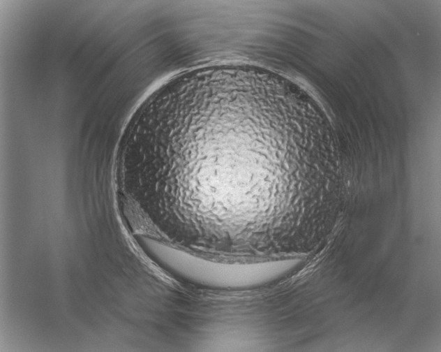 X0000056371142200509232152
