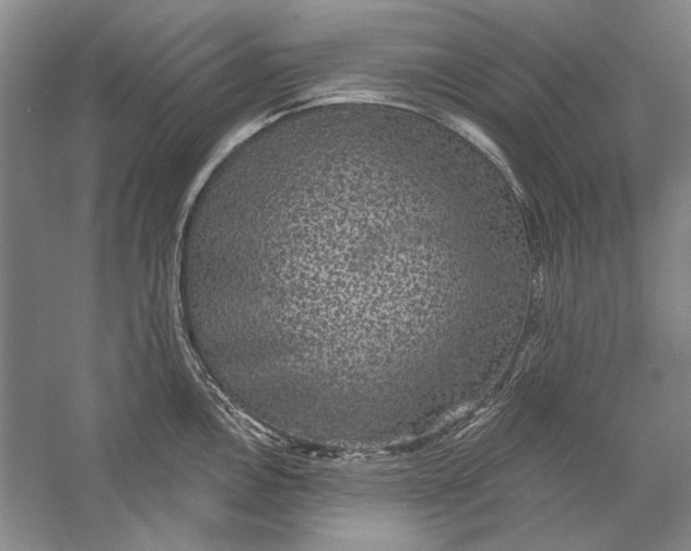 X0000056371146200509232152