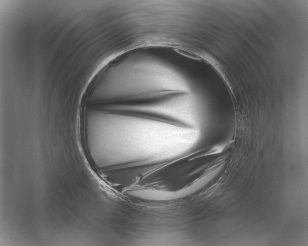 X0000056371147200509232152