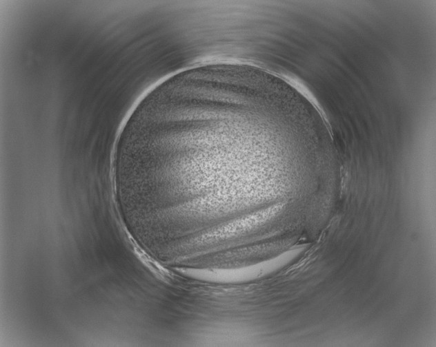 X0000056371148200509232152