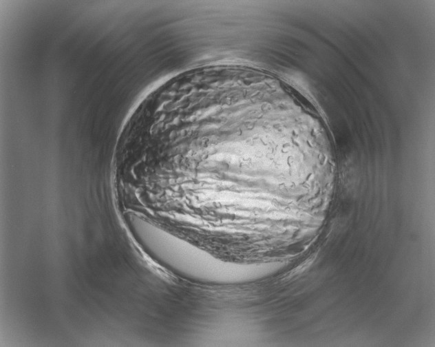 X0000056371149200509232152