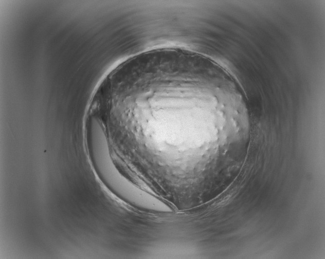 X0000056371151200509232152