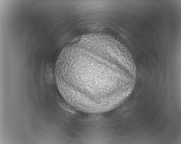 X0000056371154200509232151
