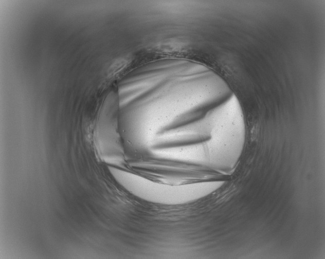 X0000056371156200509232151
