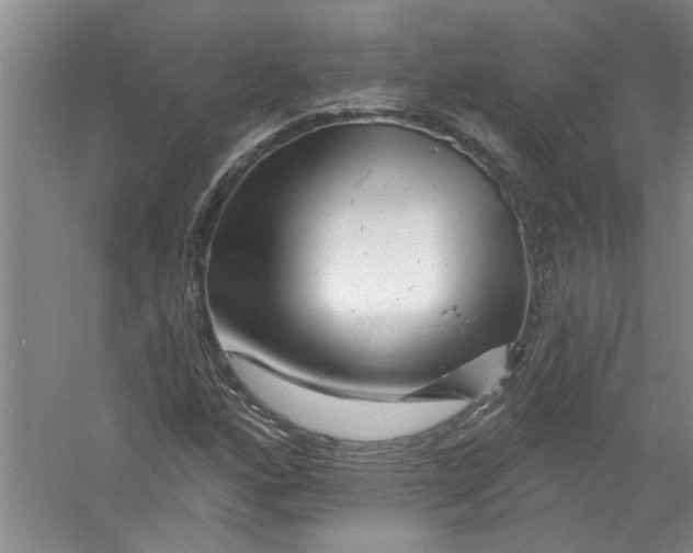 X0000056371160200509232151