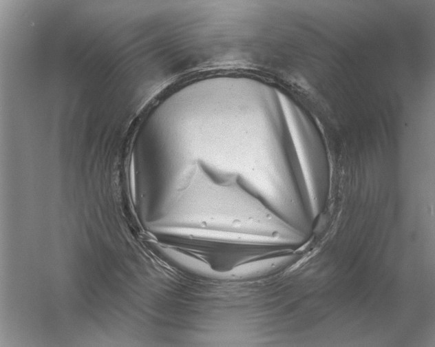 X0000056371162200509232151