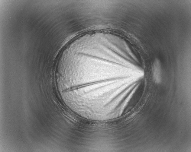 X0000056371170200509232151