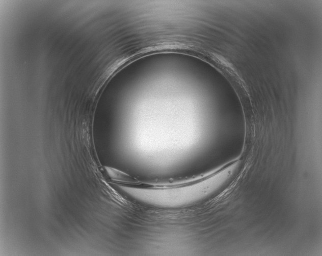 X0000056371177200509232150