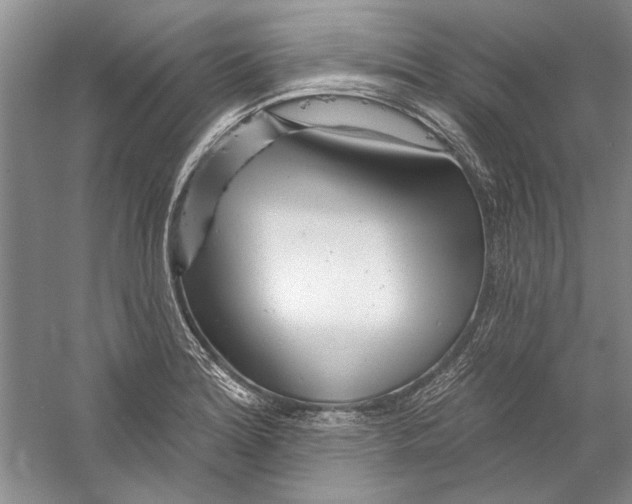 X0000056371180200509232150