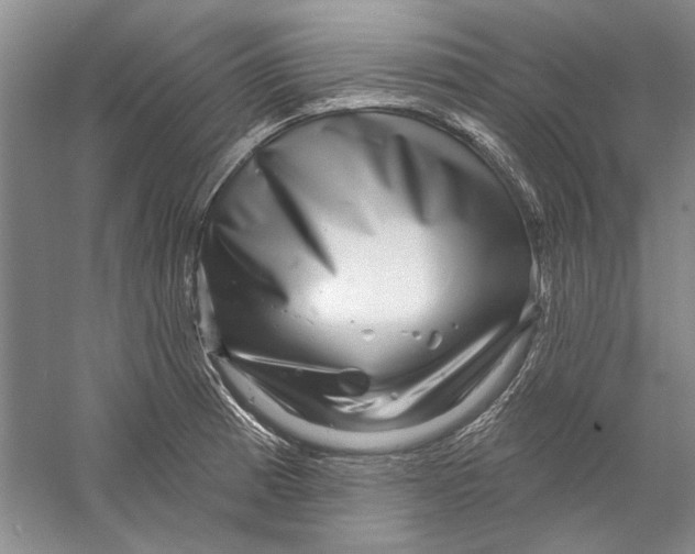 X0000056371185200509232150