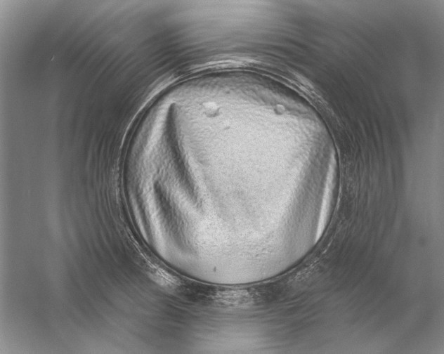 X0000056371186200509232150