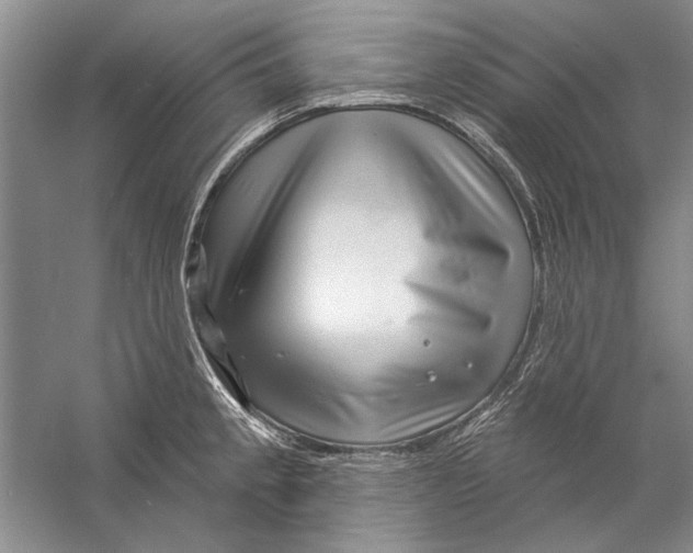 X0000056371189200509232150