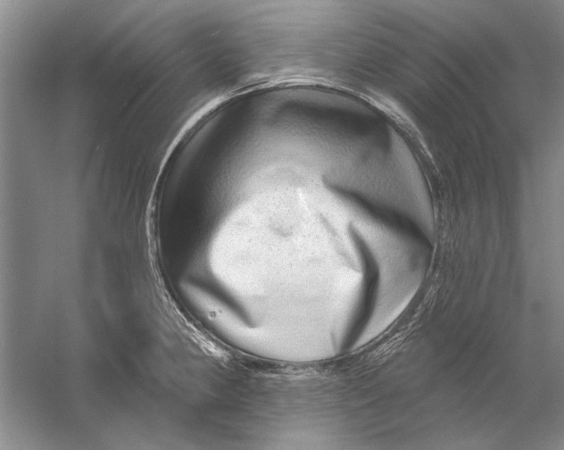 X0000056371190200509232150