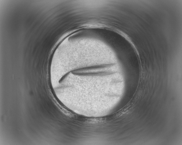 X0000056371195200509232150