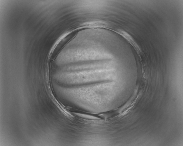 X0000056371196200509232150