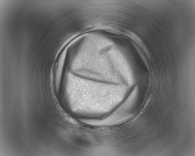 X0000056371198200509232150