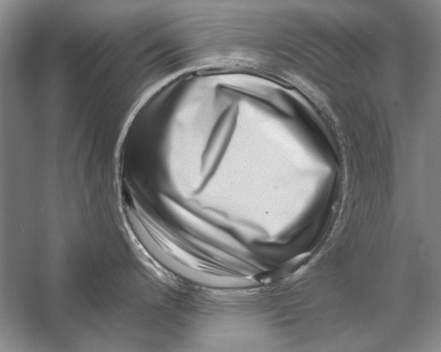X0000056371200200509232150