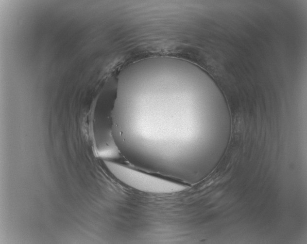 X0000056371202200509232149
