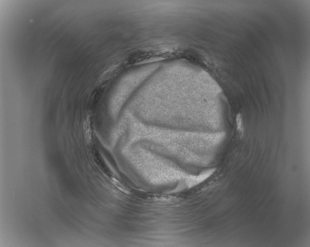 X0000056371203200509232149